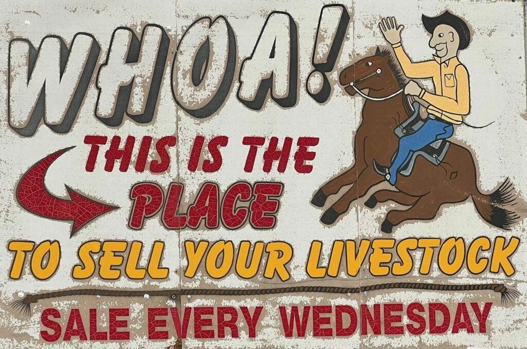 Rawhide Auctions at The Cortez Livestock Auction